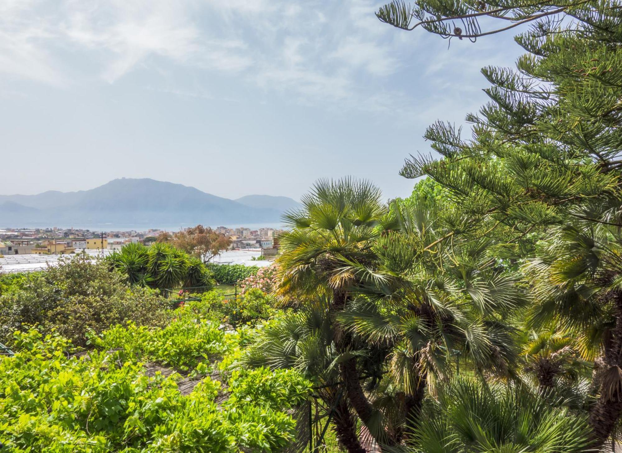 B&B Casina De Goyzueta 토레델그레코 객실 사진