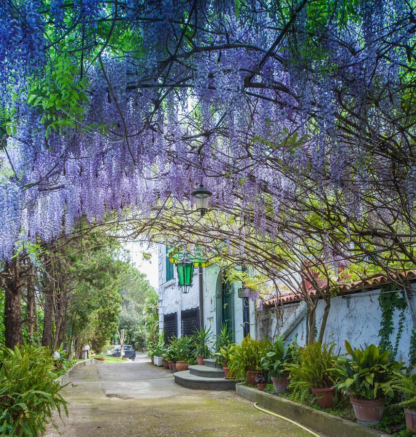 B&B Casina De Goyzueta 토레델그레코 외부 사진